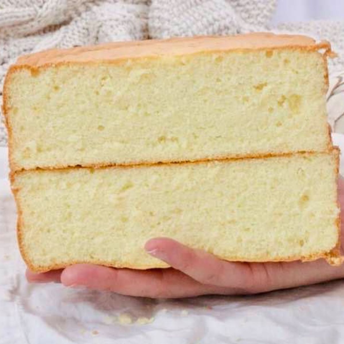 cut fluffy sponge cake on a hand
