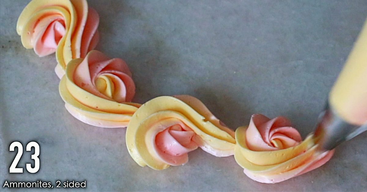 orange and pink buttercream piping: Ammonites 2 sided