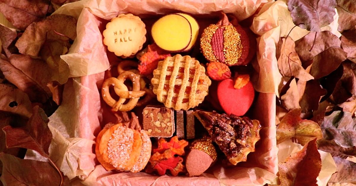 10 kinds of delicious fall cookies in a box