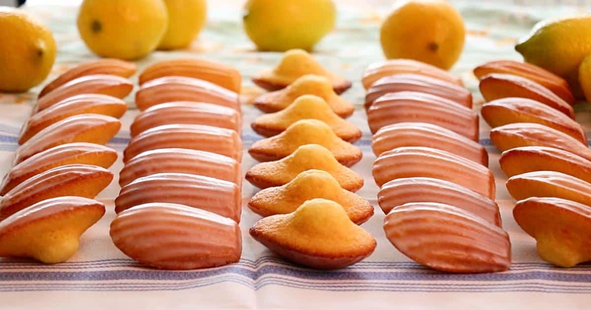 lots of lemon madeleines lined up on a table with fresh lemons