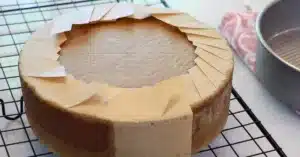 chocolate sponge cake cooling on a rack