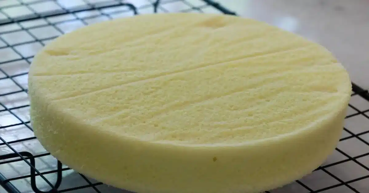 a close-up of fluffy chiffon cake