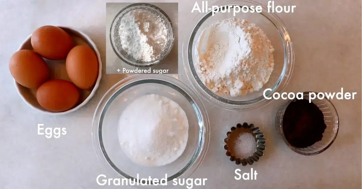 ingredients to make chocolate ladyfingers