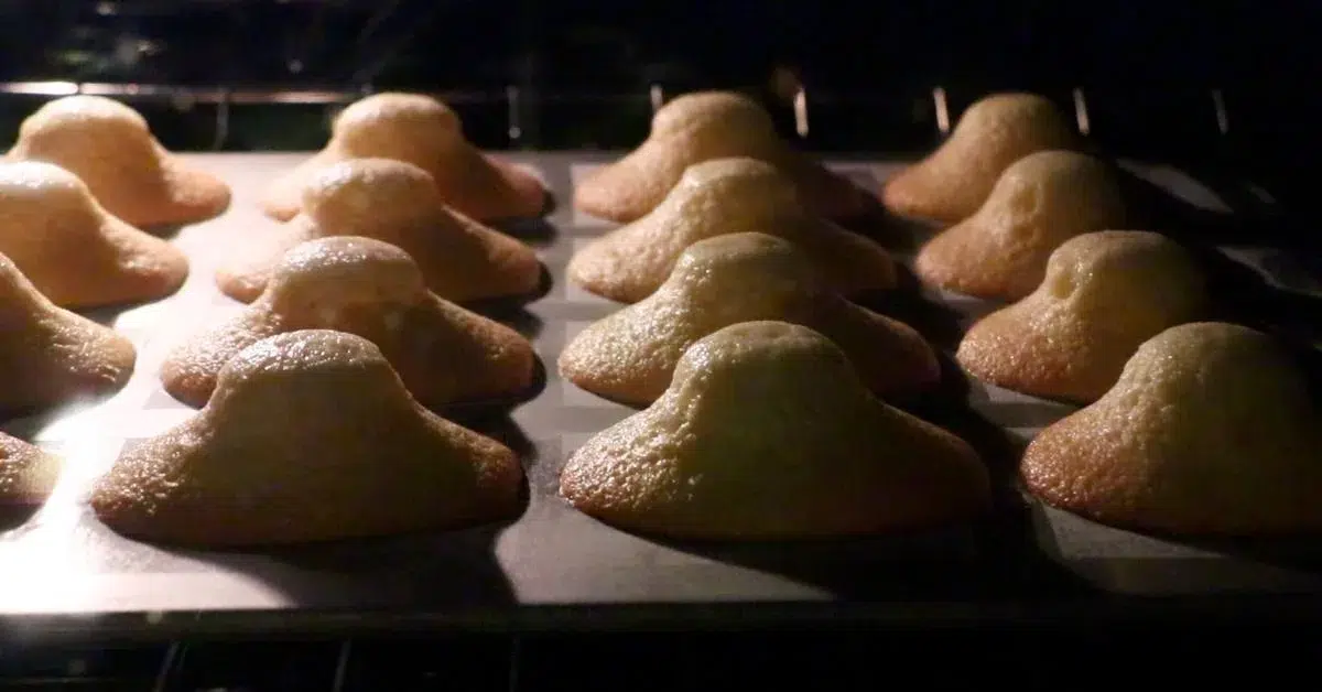 madeleines batter rising in the oven