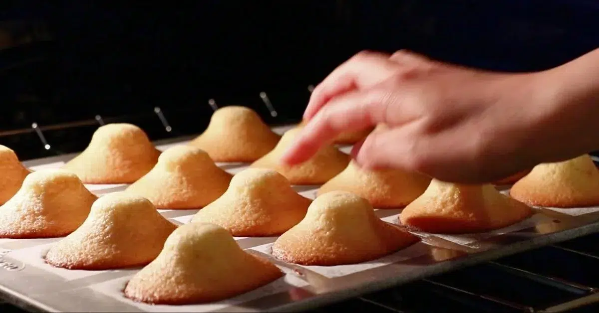 touching madeleines in the oven