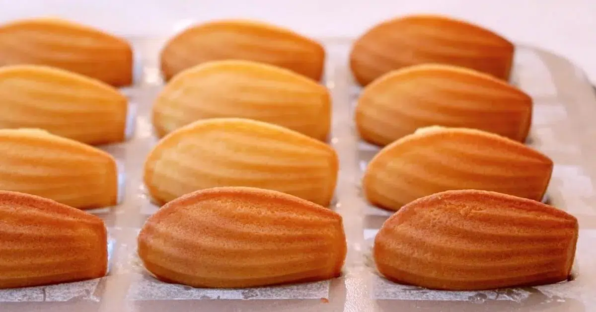 freshly baked madeleines in a pan