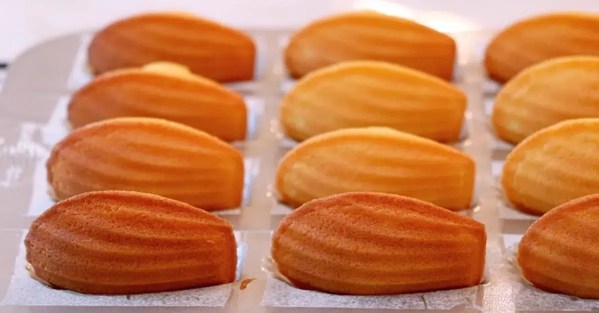freshly baked madeleines cooling in a pan
