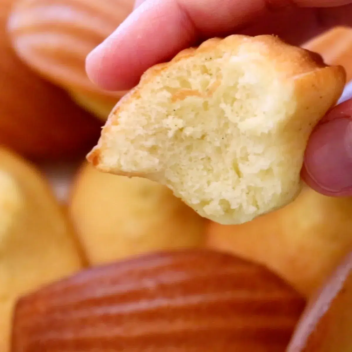 the texture of homemade madeleine