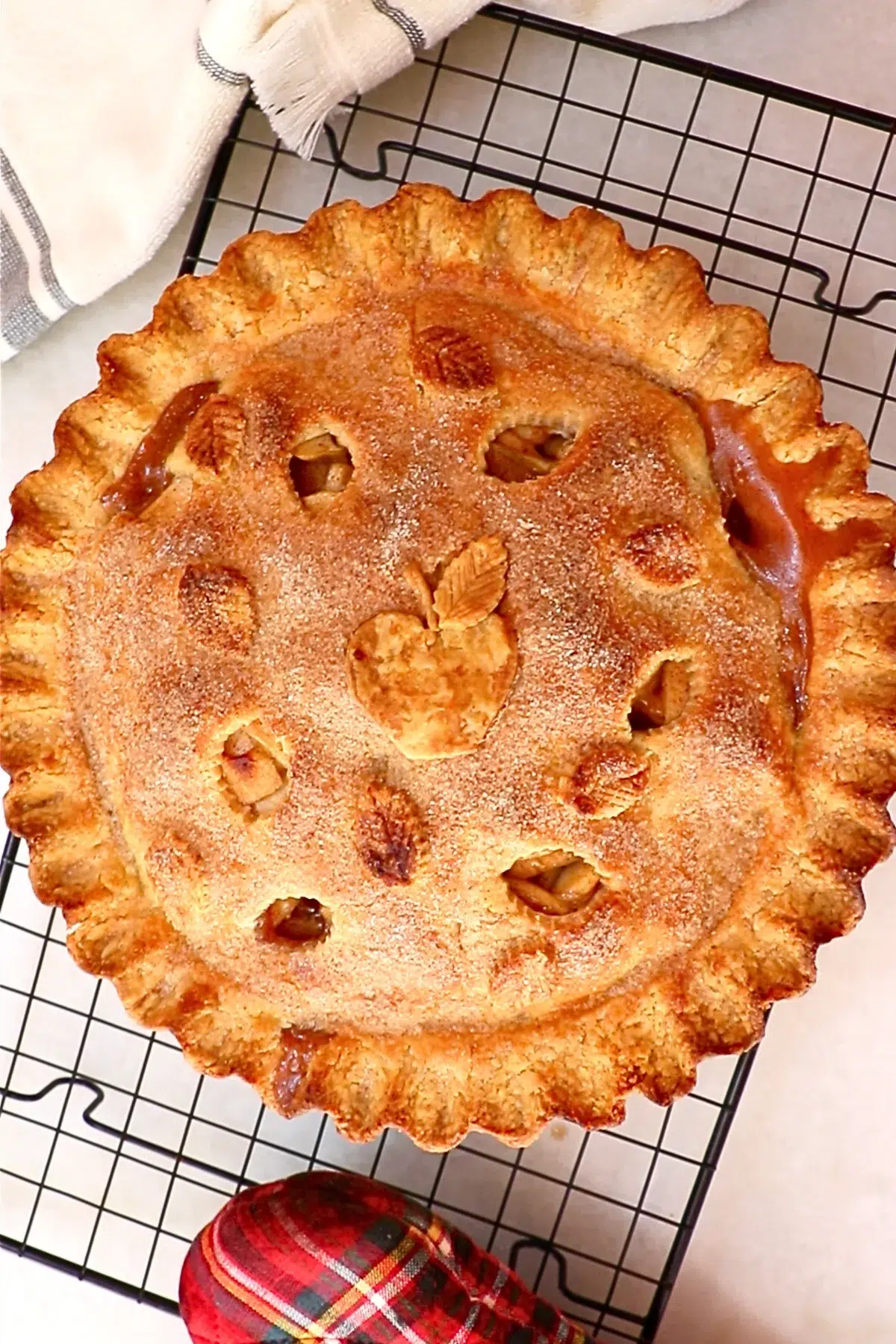 freshly baked homemade apple pie