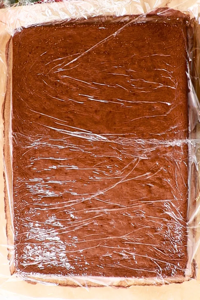 baked chocolate sponge cake for a roll cake