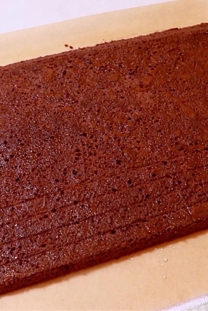 chocolate sponge cake soaked with cake syrup