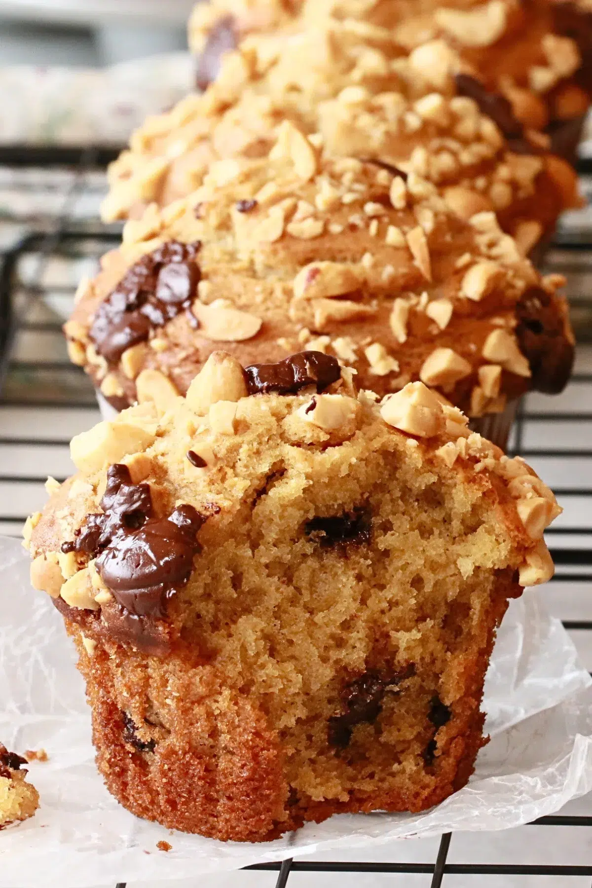 chocolate chip peanut butter muffins with diced peanuts on top of them