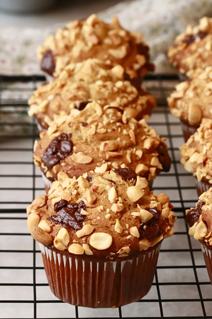 homemade peanut butter muffins with diced peanuts and chocolate on top.